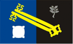 Surrey Flags